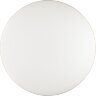 Настенно-потолочный светильник Sonex 3043/EL