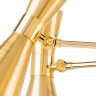 Потолочная люстра Lightstar 816081