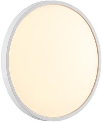 Настенно-потолочный светильник Sonex 7659/24L