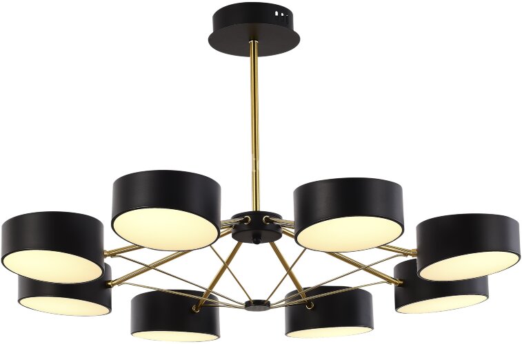 Потолочная люстра Evoluce SLE6005-402-08