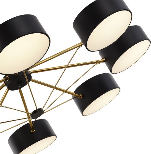 Потолочная люстра Evoluce SLE6005-402-08