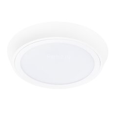 Настенно-потолочный светильник Lightstar 216904