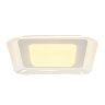 Потолочный светильник MyFar MR9070-CL